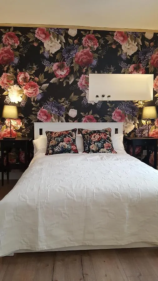 Pasta Factory Guest Rooms Galway 0*,